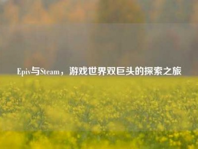 Epiv与Steam，游戏世界双巨头的探索之旅