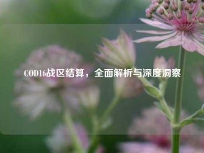 COD16战区结算，全面解析与深度洞察