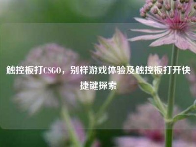 触控板打CSGO，别样游戏体验及触控板打开快捷键探索