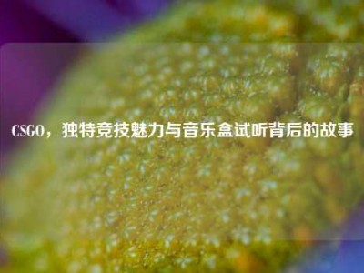 CSGO，独特竞技魅力与音乐盒试听背后的故事