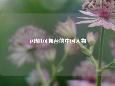 闪耀LOL舞台的中国人物