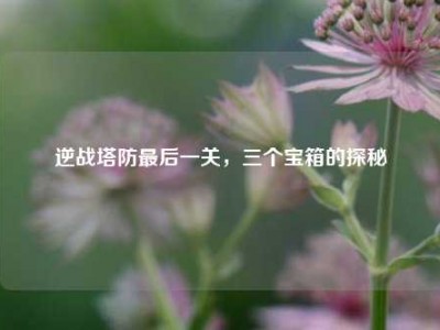 逆战塔防最后一关，三个宝箱的探秘