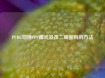 PUBG切换FPP模式及改二级密码的     
