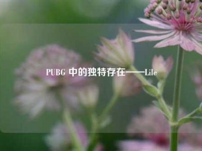 PUBG 中的独特存在——Lile