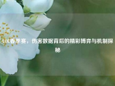 LOL春季赛，伤害数据背后的精彩博弈与机制探秘