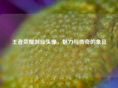 王者荣耀剑仙头像，魅力与传奇的象征