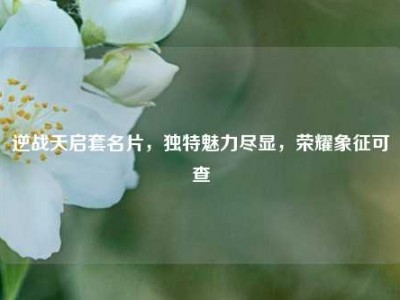 逆战天启套名片，独特魅力尽显，荣耀象征可查