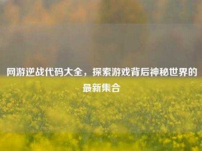 网游逆战代码大全，探索游戏背后神秘世界的最新集合