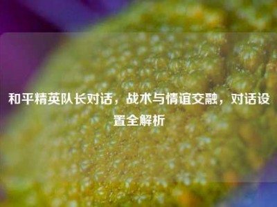 和平精英队长对话，战术与情谊交融，对话设置全解析