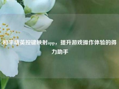 和平精英按键映射app，提升游戏操作体验的得力助手