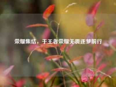 荣耀集结，于王者荣耀无畏逐梦前行