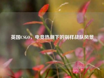 英国CSGO，电竞热潮下的别样战队风景