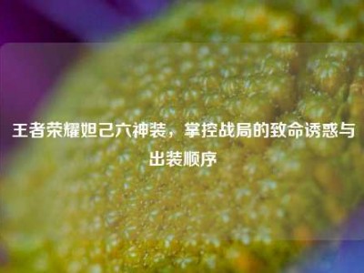 王者荣耀妲己六神装，掌控战局的致命诱惑与出装顺序