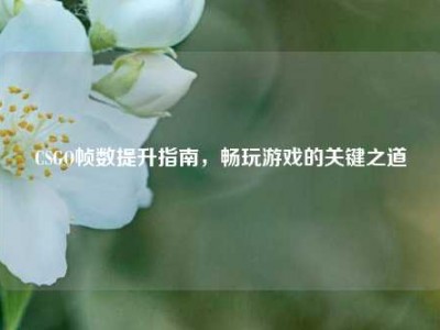 CSGO帧数提升指南，畅玩游戏的关键之道