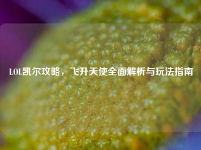 LOL凯尔攻略，飞升天使全面解析与玩法指南