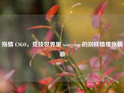 殇情 CSGO，竞技世界里 wingying 的别样情愫殇情曲