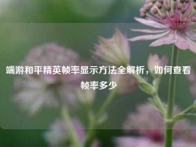 端游和平精英帧率显示方法全解析，如何查看帧率多少