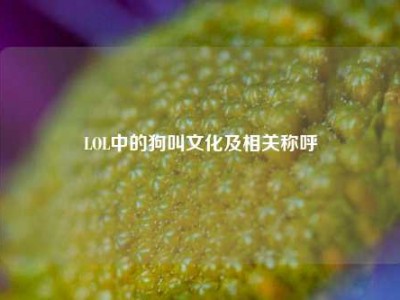LOL中的狗叫文化及相关称呼