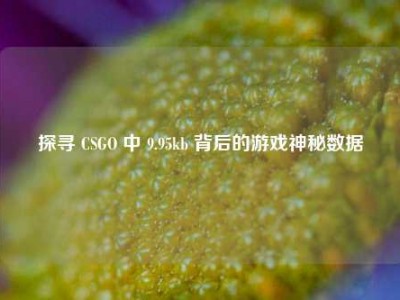 探寻 CSGO 中 9.95kb 背后的游戏神秘数据