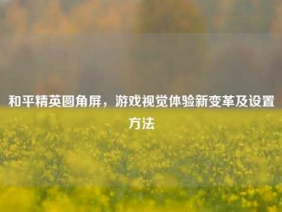 和平精英圆角屏，游戏视觉体验新变革及设置方法