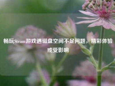 畅玩Steam游戏遇磁盘空间不足问题，精彩体验或受影响