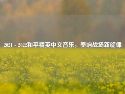 2021 - 2022和平精英中文音乐，奏响战场新旋律
