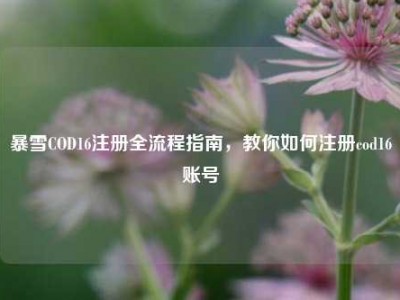 暴雪COD16注册全流程指南，教你如何注册cod16账号