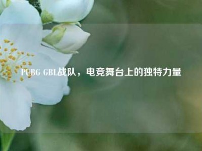 PUBG GBL战队，电竞舞台上的独特力量