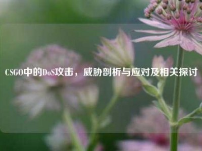 CSGO中的DoS攻击，威胁剖析与应对及相关探讨