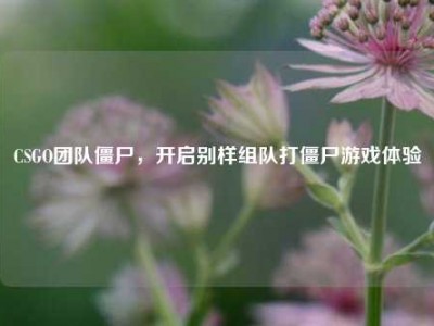 CSGO团队僵尸，开启别样组队打僵尸游戏体验