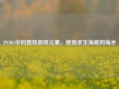 PUBG中的独特游戏元素，绝地求生海底的海水