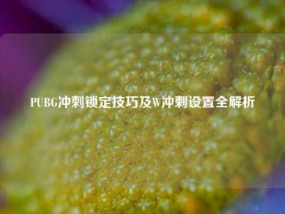 PUBG冲刺锁定技巧及W冲刺设置全解析