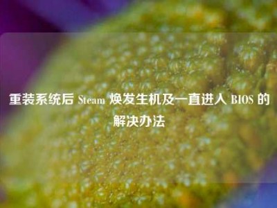 重装系统后 Steam 焕发生机及一直进入 BIOS 的解决办法