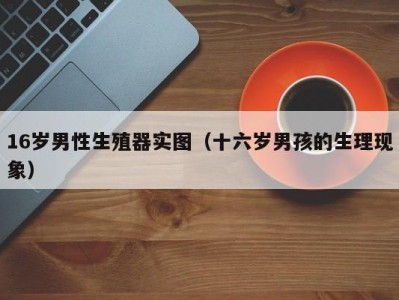 16岁男性生殖器实图（十六岁男孩的生理现象）