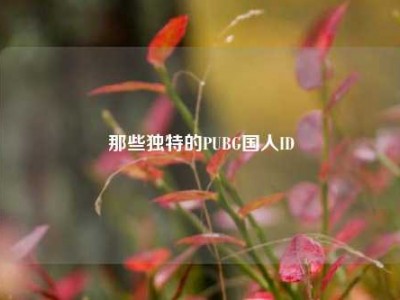 那些独特的PUBG国人ID