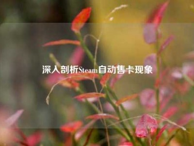 深入剖析Steam自动售卡现象