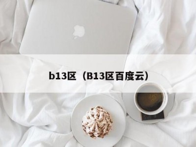 b13区（B13区百度云）