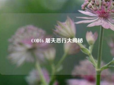 COD16 屠夫恶行大揭秘