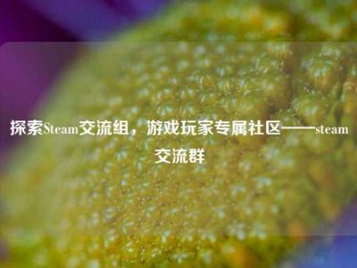探索Steam交流组，游戏玩家专属社区——steam交流群