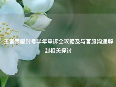 王者荣耀封号半年申诉全攻略及与     沟通解封相关探讨
