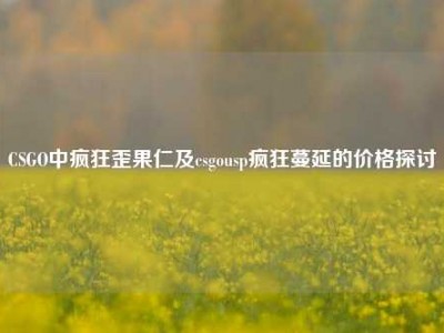 CSGO中疯狂歪果仁及csgousp疯狂蔓延的价格探讨