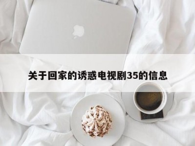 关于回家的诱惑电视剧35的信息