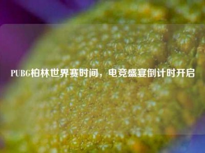PUBG柏林世界赛时间，电竞盛宴倒计时开启