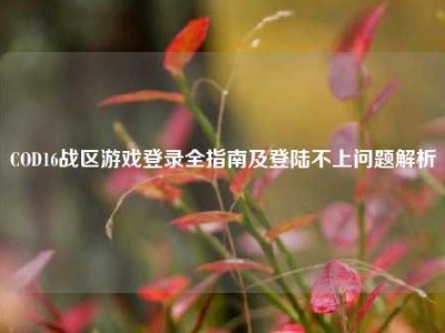 COD16战区游戏登录全指南及登陆不上问题解析