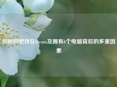 剖析网吧存在Steam及拥有6个电脑背后的多重因素