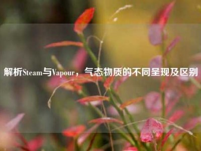 解析Steam与Vapour，气态物质的不同呈现及区别