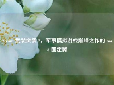 Steam 武装突袭 2，军事模拟游戏巅峰之作的 mod 固定翼