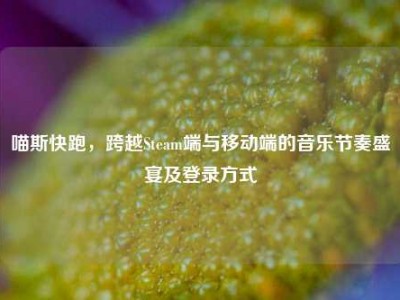 喵斯快跑，跨越Steam端与移动端的音乐节奏盛宴及登录方式