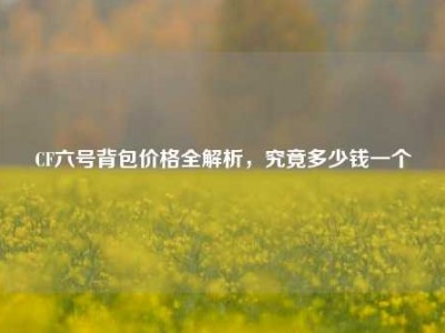 CF六号背包价格全解析，究竟多少钱一个