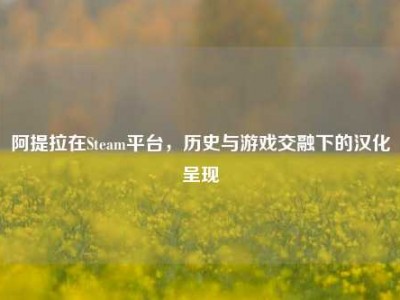 阿提拉在Steam平台，历史与游戏交融下的汉化呈现
